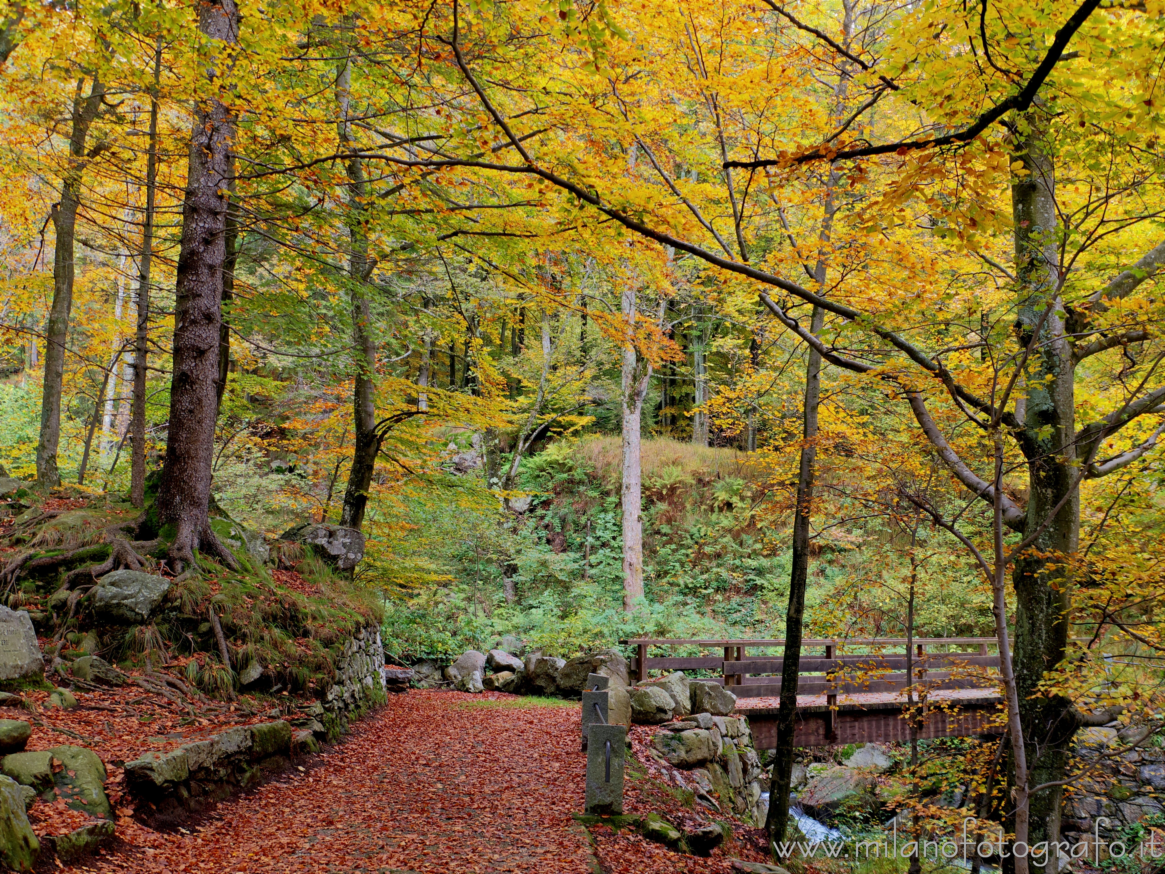 Biella (Italy) - Autumn woods with little bridge near the Sanctuary of Oropa